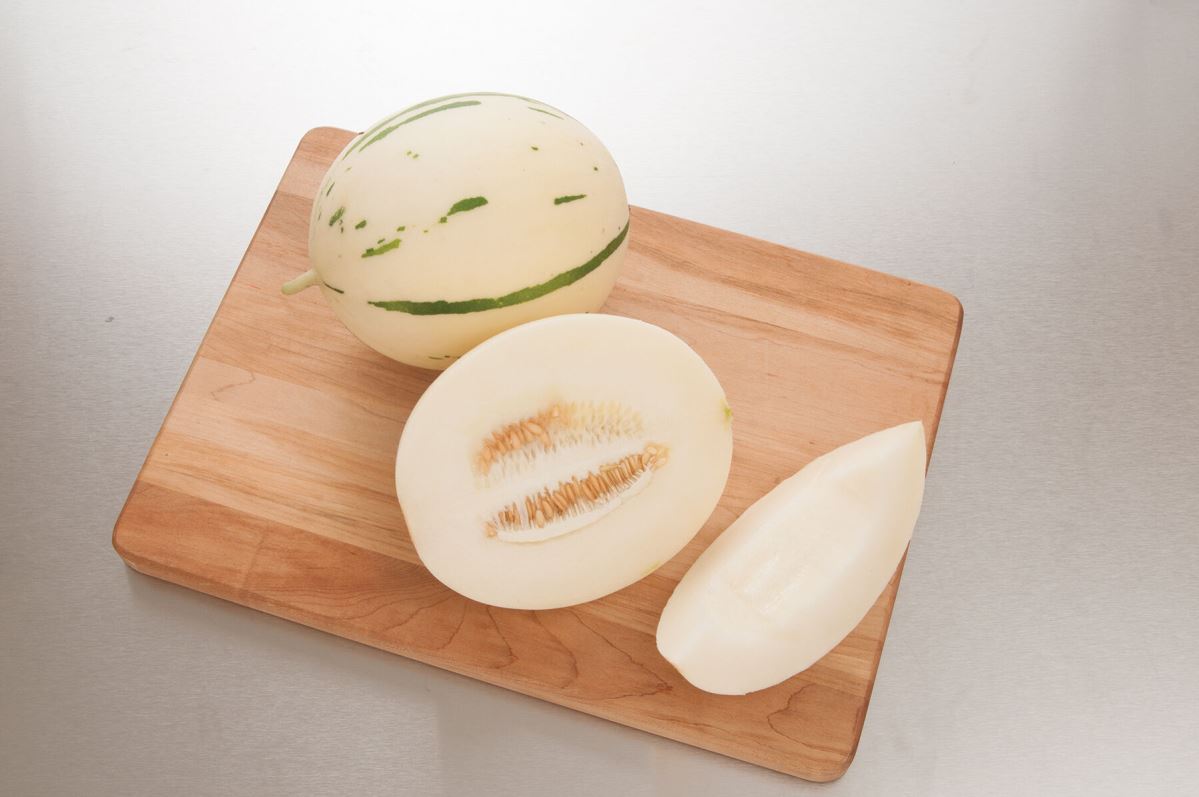 Snow Leopard – Melon Seed